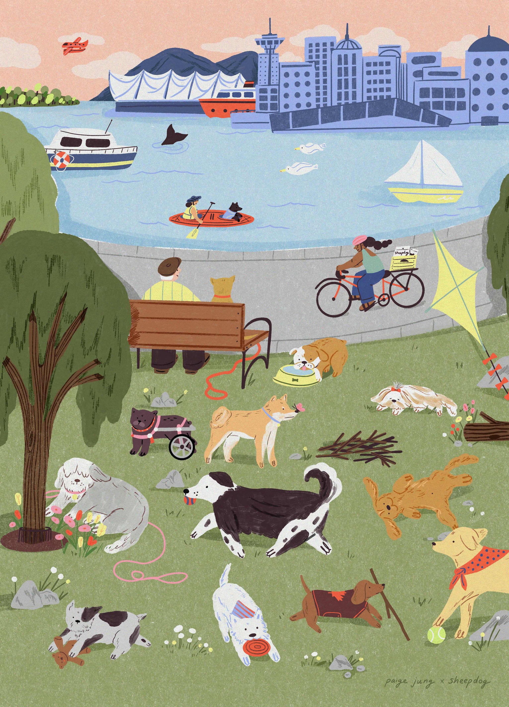 Dog Watch