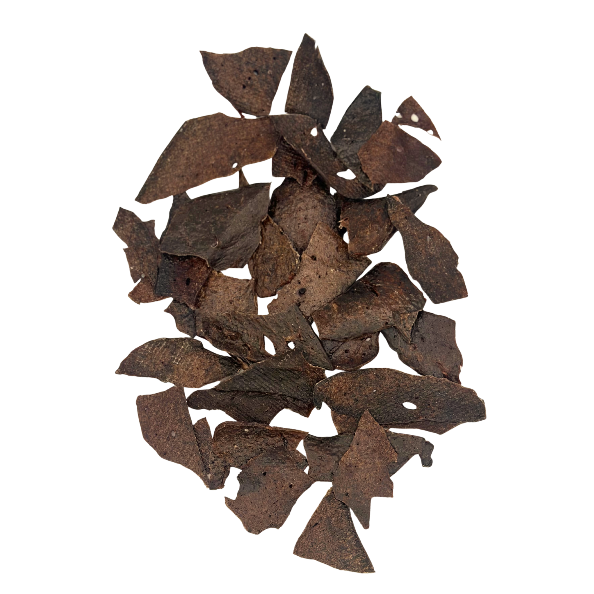 Bison Liver