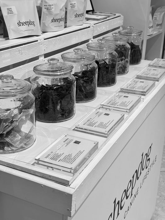 Why proper storage is essential!